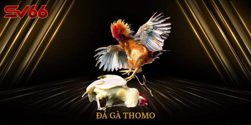 da-ga-thomo-1
